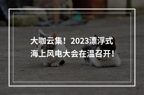 大咖云集！2023漂浮式海上风电大会在温召开！